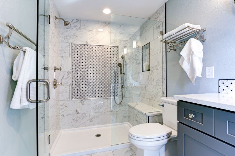 Shower Wall Features